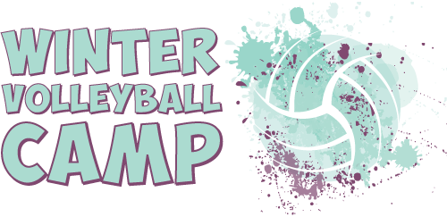 Sonic Volleyball Winter Camp